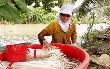 Sóc Trăng: Phụ nữ Khmer giúp nhau thoát nghèo bền vững