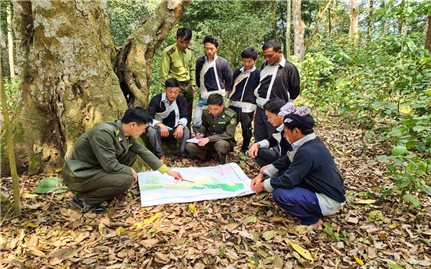 Bảo vệ rừng từ chính sách cho người nhận khoán: Tiếp tục giữ định mức cũ (Bài 1)
