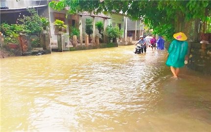 Phú Yên: Mưa lũ khiến 1 người mất tích, 256 căn nhà bị ngập nước