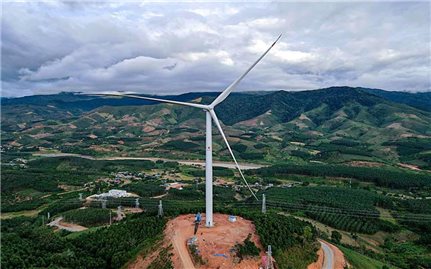 Kon Tum: Chiếm đất làm dự án điện gió, Công ty Cổ phần Tân Tấn Nhật bị phạt hơn 800 triệu đồng