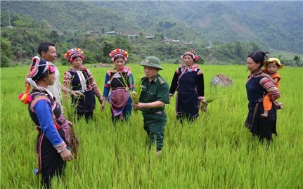 Hiệu quả các chính sách đầu tư cho nhóm dân tộc có khó khăn đặc thù