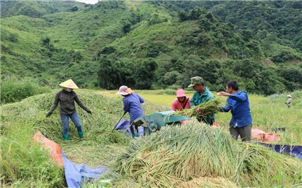 Cuộc sống của đồng bào DTTS còn khó khăn đặc thù ở Lai Châu đã có nhiều thay đổi