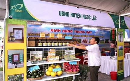 Thanh Hóa trưng bày, giới thiệu 200 gian hàng sản phẩm nông sản thực phẩm an toàn