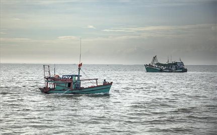 Mở đợt cao điểm về chống khai thác hải sản bất hợp pháp