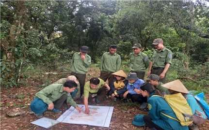 Nhìn lại mô hình cộng đồng tham gia quản lý rừng: Xã hội hóa nghề rừng - Xu thế tất yếu (Bài cuối)