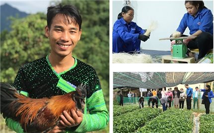 Trấn Yên (Yên Bái): 22 sáng kiến tạo việc làm ổn định cho thanh niên DTTS