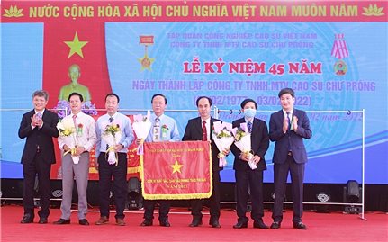 Công ty TNHH một thành viên Cao su Chư Prông: Chú trọng sản xuất kinh doanh gắn với bảo vệ môi trường