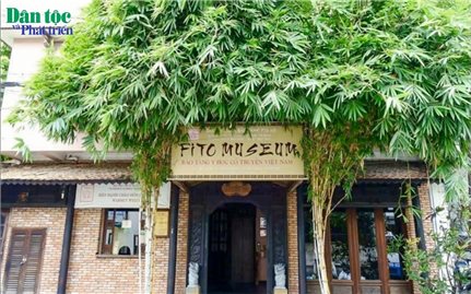 Khám phá Bảo tàng y học cổ truyền đầu tiên ở Việt Nam