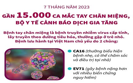 7 tháng năm 2023: Gần 15.000 ca mắc tay chân miệng, Bộ Y tế cảnh báo dịch gia tăng