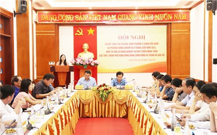 Nhiều tỉnh, thành phố vùng Đồng bằng sông Hồng và Trung du Bắc Bộ hoàn thành xây dựng nông thôn mới