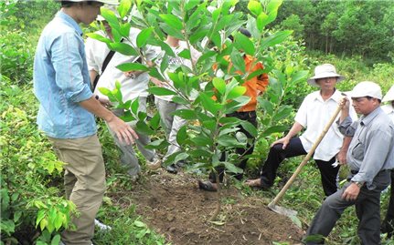 Ban Dân tộc Bắc Giang: Tập huấn chuyển giao Khoa học - kỹ thuật cho Nhân dân