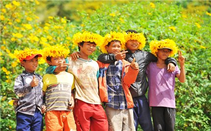 Gia Lai tổ chức Tuần lễ hoa dã quỳ - núi lửa Chư Đang Ya vào tháng 11