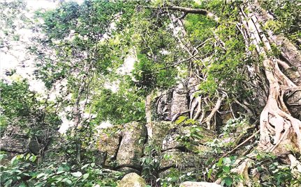 Bí ẩn Tà Kơn - Thành cổ chốn rừng hoang