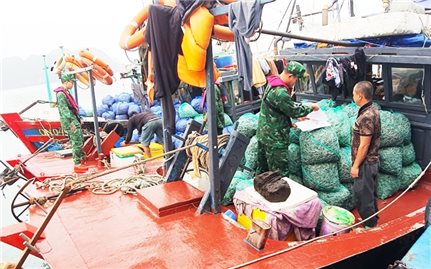 Quảng Ninh: Liên tiếp bắt giữ 3 phương tiện khai thác thủy sản trái phép