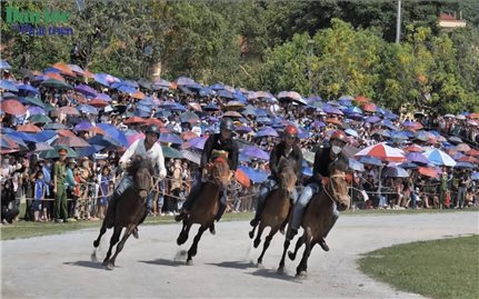 Bắc Hà tổ chức thành công giải đua ngựa truyền thống