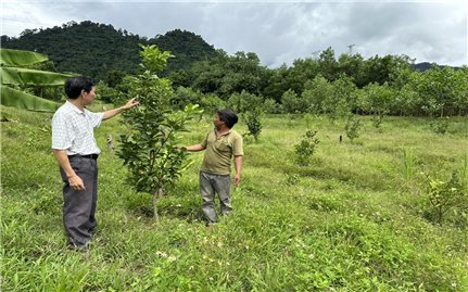 Nam Giang (Quảng Nam): Chương trình MTQG giúp người dân thoát nghèo bền vững