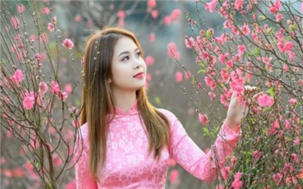 Hà Nội tổ chức Lễ hội hoa đào, quất cảnh dịp Xuân Giáp Thìn 2024