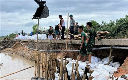 Quảng Ninh: “Bài kiểm tra” bất ngờ từ cơn bão số 3 cho tuyến đê Điền Công ở Trưng Vương