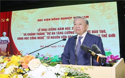 Đại học phải là một thực thể quan trọng trong hệ thống đổi mới sáng tạo quốc gia