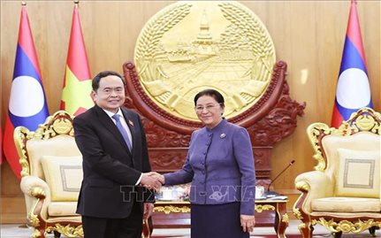 Chủ tịch Quốc hội Trần Thanh Mẫn gặp các lãnh đạo, nguyên lãnh đạo của Lào