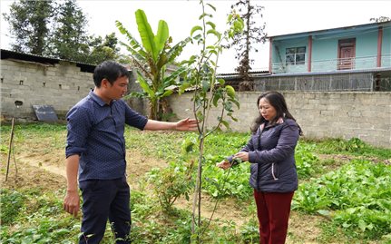 Gian nan hành trình xóa bỏ hủ tục, tà đạo ở miền cao nguyên đá xám: Bình minh trở lại! (Bài 4)