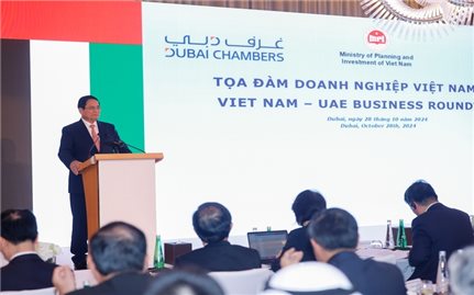 Thủ tướng dự tọa đàm doanh nghiệp tại Dubai: Việt Nam là đối tác lý tưởng của UAE