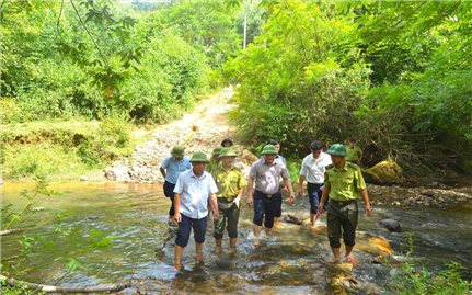 Công tác khoán bảo vệ rừng và phát triển rừng theo Chương trình MTQG 1719 ở Nghệ An: Sớm tháo gỡ khó khăn thì cơ sở mới thuận lợi thực hiện