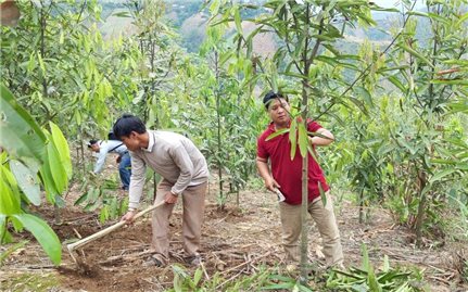 Mường Tè, Lai Châu: Đẩy nhanh tiến độ thực hiện Chương trình MTQG 1719