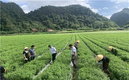 Tăng cường giám sát thực hiện Chương trình MTQG 1719 ở Cao Bằng: Đi cùng thực hiện (Bài 2)