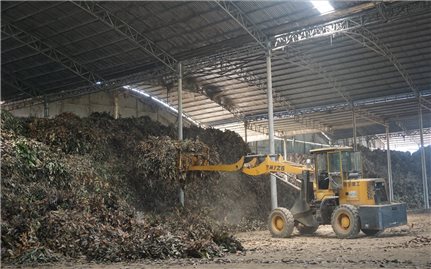 Bảo Yên (Lào Cai): “Kích thích” đầu tư phát triển liên kết chuỗi trong sản xuất nông - lâm nghiệp