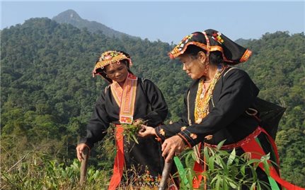 Bắc Giang: Tặng Giấy khen của Trưởng Ban Dân tộc tỉnh cho các tập thể, cá nhân có thành tích xuất sắc giai đoạn 2019 - 2024