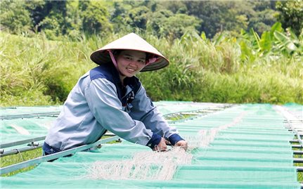 Cao Bằng: Tăng cường vai trò của phụ nữ DTTS thông qua đối thoại chính sách