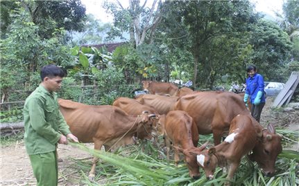 Thanh Hóa: Phát huy hiệu quả vốn tín dụng chính sách đối với vùng DTTS