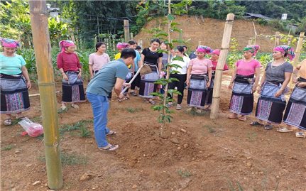 Nhận diện thực trạng kinh tế - xã hội theo điều tra phiếu xã: Nhìn lại công tác đào tạo nghề (Bài 6)