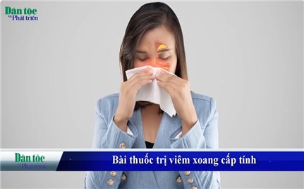 Bài thuốc Đông y trị viêm xoang hiệu quả