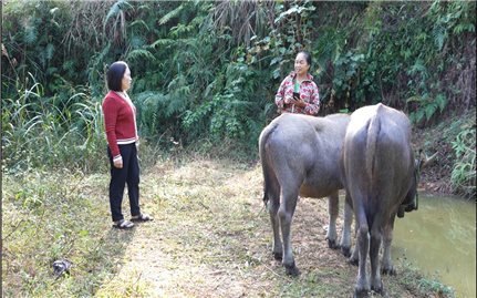 Tràng Định (Lạng Sơn): Trao sinh kế phù hợp, giúp giảm nghèo bền vững