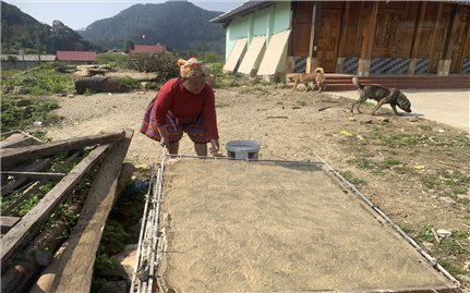 Mai Châu (Hòa Bình): Vùng đồng bào DTTS và miền núi khởi sắc nhờ thực hiện Chương trình MTQG 1719