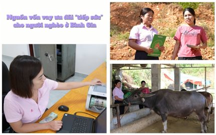 Nguồn vốn vay ưu đãi “tiếp sức” cho người nghèo ở Bình Gia