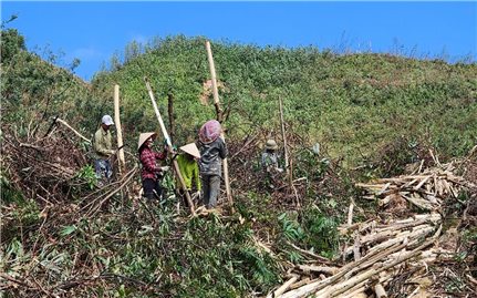 Quảng Ninh: Giải ngân hỗ trợ khắc phục hậu quả bão số 3...đạt thấp