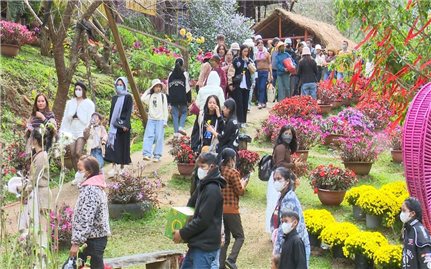 Kon Tum: Hàng ngàn du khách đến với Măng Đen