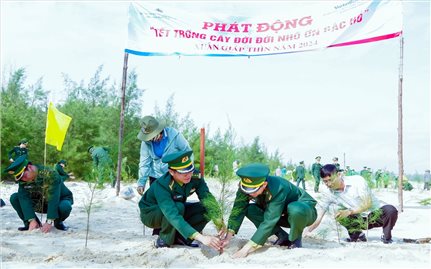Bộ đội Biên phòng tỉnh Thừa Thiên Huế hưởng ứng Tết trồng cây