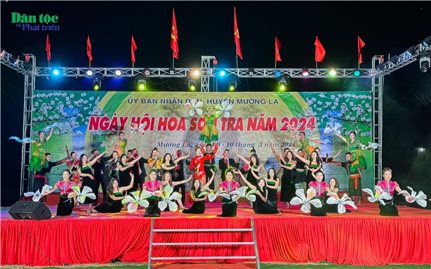 Xác lập kỷ lục rừng hoa sơn tra Ngọc Chiến lớn nhất Việt Nam và Ngày hội Hoa Sơn tra năm 2024