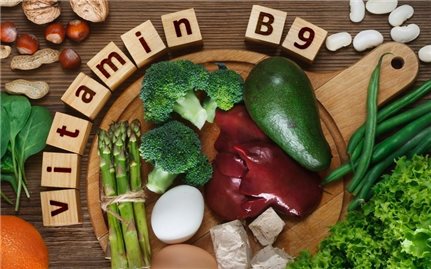 Vitamin B9 có vai trò gì trong cơ thể con người?