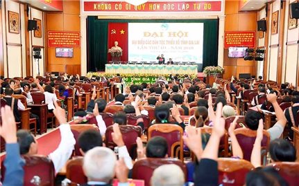Gia Lai: Thành lập Ban Chỉ đạo Đại hội đại biểu các DTTS tỉnh lần thứ IV