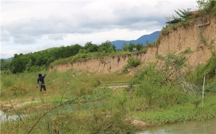 Bình Định: Sớm có giải pháp khắc phục tình trạng sạt lở bờ sông Hà Thanh
