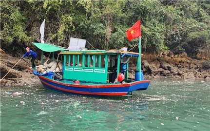 Quảng Ninh: Khẩn trương khắc phục tình trạng phao xốp tái xuất hiện trên Vịnh Hạ Long