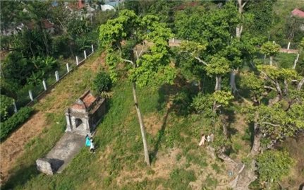Cho phép khai quật khảo cổ di tích Tháp đôi Liễu Cốc tại Thừa Thiên Huế
