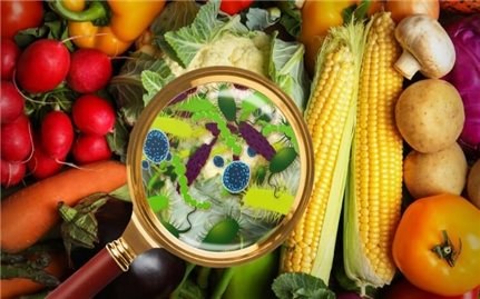 Hỗ trợ điều trị ngộ độc thực phẩm bằng rau củ trong vườn nhà