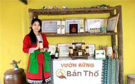 Thanh Hóa: Đẩy mạnh các hoạt động khơi dậy tinh thần khởi nghiệp trong thanh niên