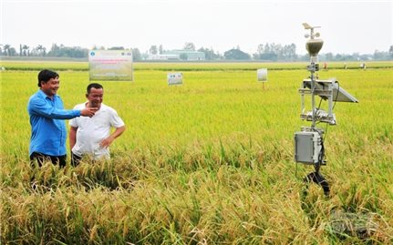 Nông nghiệp số “lên ngôi”